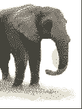 GIF animado (9096) Elefante