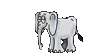 GIF animado (9102) Elefante