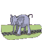 GIF animado (9107) Elefante
