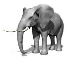 GIF animado (9113) Elefante