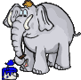 GIF animado (9122) Elefante