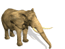 GIF animado (9123) Elefante