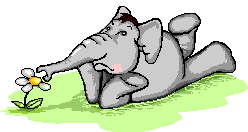 GIF animado (2059) Elefante de amor