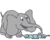 GIF animado (9140) Elefante duchandose