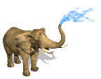 GIF animado (9141) Elefante duchandose