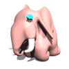GIF animado (9143) Elefante hembra