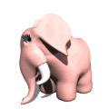 GIF animado (9149) Elefante rosa