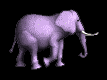 GIF animado (9153) Elefante rosa