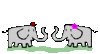 GIF animado (2084) Elefantes romanticos