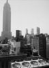 GIF animado (11570) Empire state