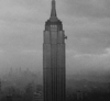 GIF animado (11586) Empire state king kong