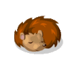 GIF animado (9203) Erizo dormido