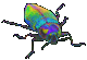 GIF animado (8265) Escarabajo de colores