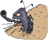 GIF animado (8270) Escarabajo grunendo