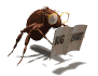 GIF animado (8271) Escarabajo leyendo