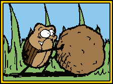GIF animado (8277) Escarabajo pelotero