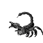GIF animado (6591) Escorpion atacando
