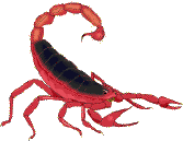 GIF animado (6603) Escorpion rojo