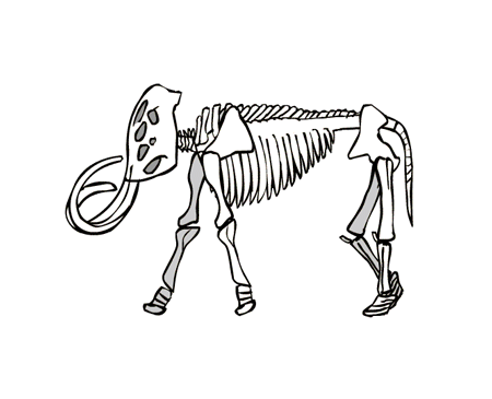 GIF animado (9628) Esqueleto mamut