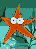 GIF animado (5810) Estrella de mar