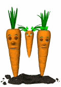 GIF animado (1783) Familia de zanahorias