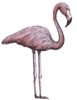 GIF animado (6913) Flamenco agachandose