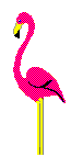 GIF animado (6935) Flamenco rosa
