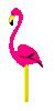 GIF animado (6935) Flamenco rosa