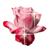 GIF animado (4347) Flor amor