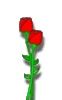 GIF animado (4356) Flor romantica