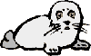 GIF animado (5880) Foca blanca