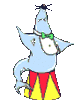 GIF animado (5890) Foca de circo