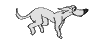 GIF animado (10848) Galgo blanco