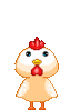 GIF animado (6961) Gallina