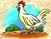 GIF animado (6970) Gallina comiendo