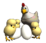 Imagen GIF de Gallina pollitos animado