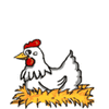 GIF animado (6992) Gallina poniendo huevo