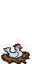GIF animado (6995) Gallina poniendo huevo grande