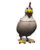 GIF animado (6996) Gallina poniendo huevos