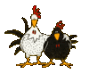 GIF animado (7002) Gallinas