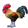 GIF animado (7023) Gallo