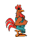 GIF animado (7037) Gallo caminando