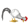 GIF animado (7041) Gallo comiendo