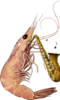 GIF animado (6043) Gamba tocando saxofon