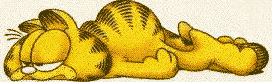 GIF animado (14012) Garfield
