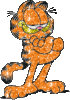 GIF animado (14028) Garfield
