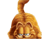 GIF animado (14038) Garfield