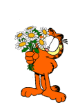 GIF animado (14045) Garfield