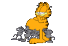 GIF animado (14063) Garfield