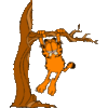 GIF animado (14070) Garfield